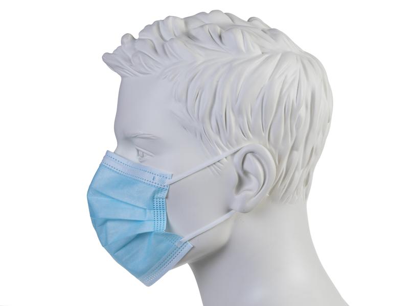 Hygienemaske Typ II  50 Stück Corona Maske Schutz